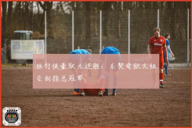 独行侠豪取九连胜,东契奇欧文组合剑指总冠军