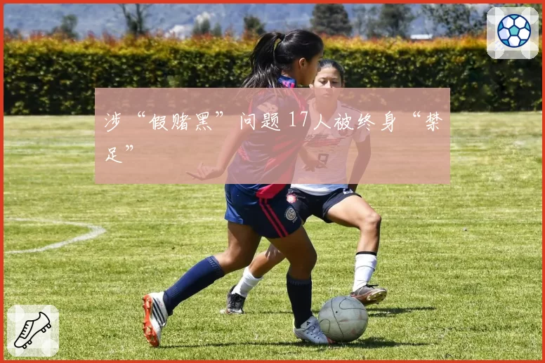 涉“假赌黑”问题 17人被终身“禁足”
