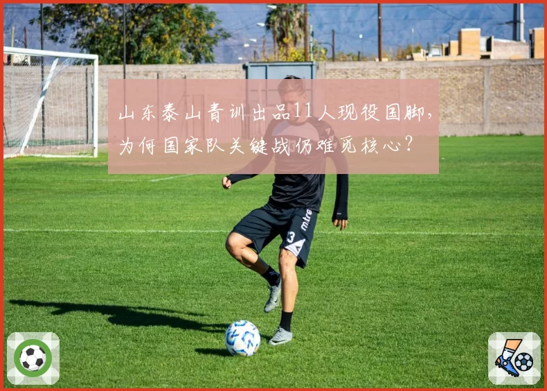 山东泰山青训出品11人现役国脚,为何国家队关键战仍难觅核心?