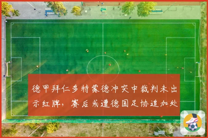 德甲拜仁多特蒙德冲突中裁判未出示红牌，赛后或遭德国足协追加处罚