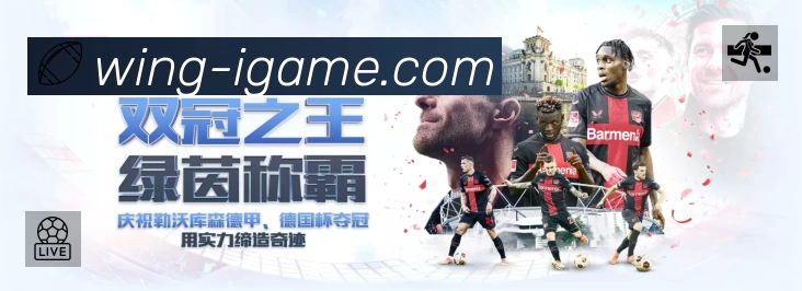 爱游戏APP 封面图